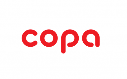 Датчик протока для котлов  COPA  7886216