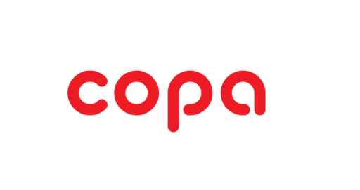 Группа штуцера отопления  для газового котла COPA EON (7886231)